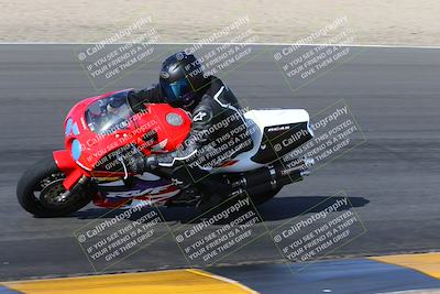 media/Feb-04-2023-SoCal Trackdays (Sat) [[8a776bf2c3]]/Turn 6 Inside (1025am)/